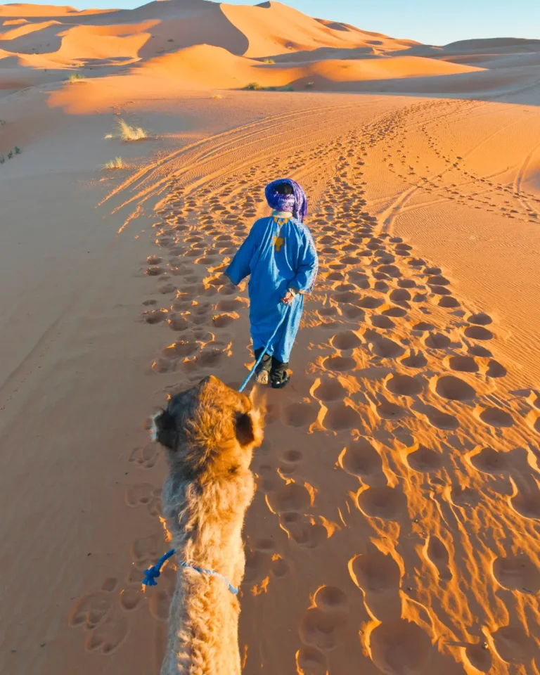 Morocco & Desert